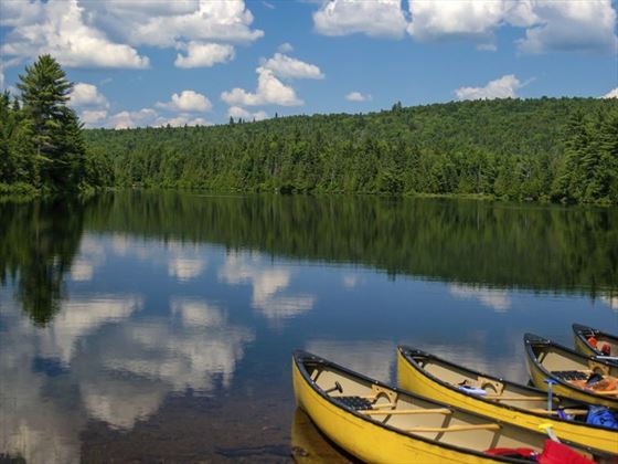 Collett Creek Cabin